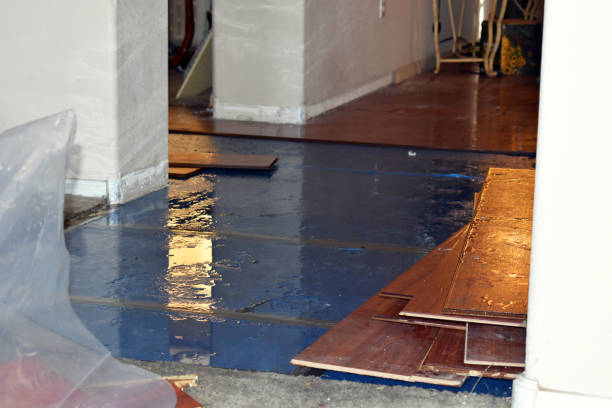 Professional Water Damage Restoration technician working in Lanesboro, MN